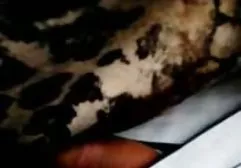 نحن يا سيدي سكس عربي ساخن فيديو ،