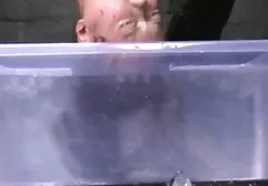 الحجر الحقيقي الخارجي مسامير فيديو سكس جديد عربي