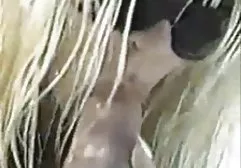 1351 جنس فيديو عربى الساخنة الزهر