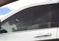 التصحيح للبيع من أسهم عربي جنس فيديو