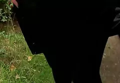 كبير فيديو سس عربي الثدي مارس الجنس جبهة مورو الإسلامية للتحرير في الفندق