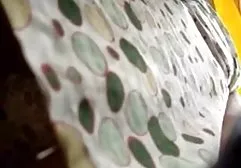المزيد من الأصدقاء فيديو سكس عربي كامل في الحديقة